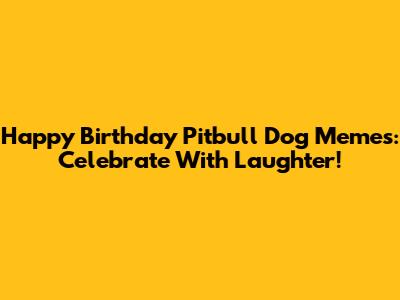 Happy Birthday Pitbull Dog Memes: Celebrate With Laughter!