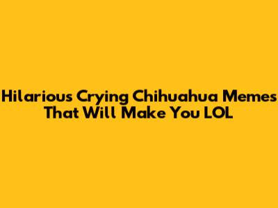 Hilarious Crying Chihuahua Memes That Will Make You LOL