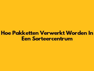Hoe Pakketten Verwerkt Worden In Een Sorteercentrum