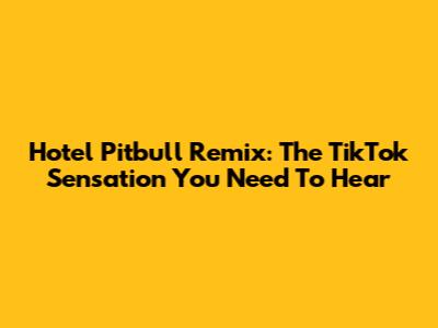 Hotel Pitbull Remix: The TikTok Sensation You Need To Hear