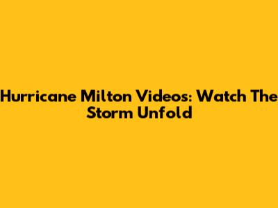 Hurricane Milton Videos: Watch The Storm Unfold
