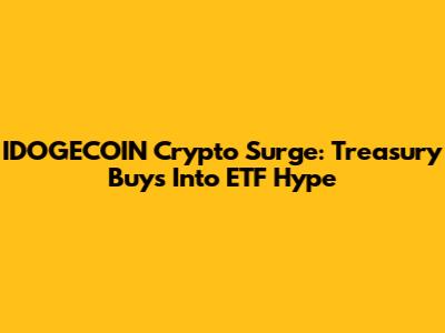 IDOGECOIN Crypto Surge: Treasury Buys Into ETF Hype