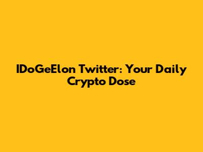 IDoGeElon Twitter: Your Daily Crypto Dose
