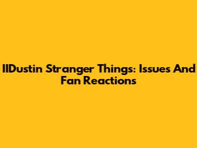 IIDustin Stranger Things: Issues And Fan Reactions