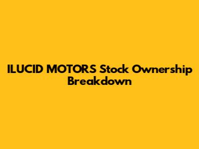 ILUCID MOTORS Stock Ownership Breakdown