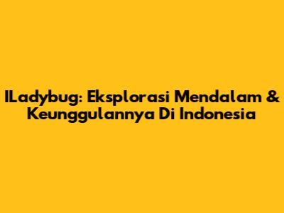 ILadybug: Eksplorasi Mendalam & Keunggulannya Di Indonesia
