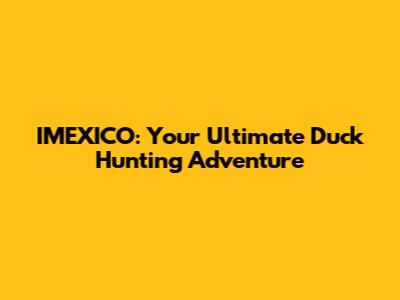 IMEXICO: Your Ultimate Duck Hunting Adventure
