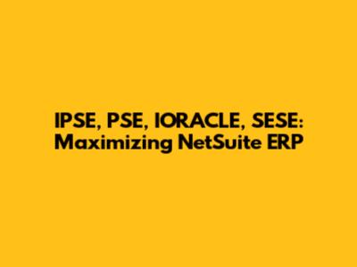 IPSE, PSE, IORACLE, SESE: Maximizing NetSuite ERP