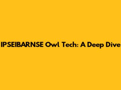 IPSEIBARNSE Owl Tech: A Deep Dive