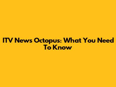 ITV News Octopus: What You Need To Know