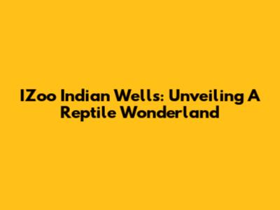 IZoo Indian Wells: Unveiling A Reptile Wonderland