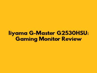 Iiyama G-Master G2530HSU: Gaming Monitor Review