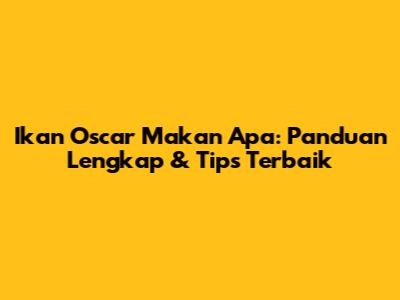 Ikan Oscar Makan Apa: Panduan Lengkap & Tips Terbaik