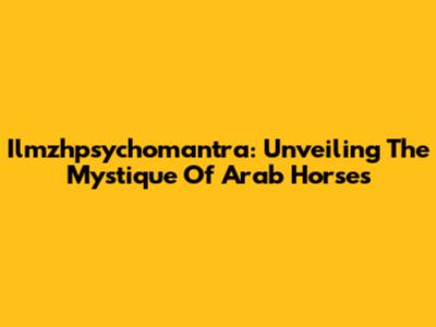 Ilmzhpsychomantra: Unveiling The Mystique Of Arab Horses