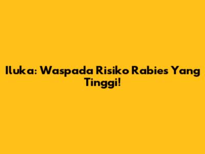 Iluka: Waspada Risiko Rabies Yang Tinggi!