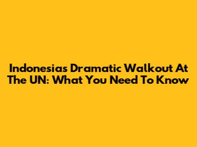 Indonesia's Dramatic Walkout At The UN: What You Need To Know