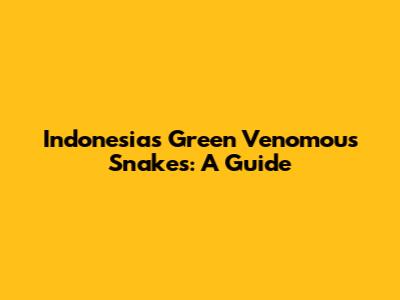 Indonesia's Green Venomous Snakes: A Guide