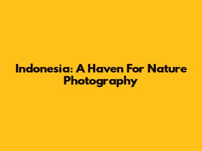 Indonesia: A Haven For Nature Photography