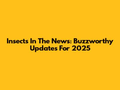 Insects In The News: Buzzworthy Updates For 2025