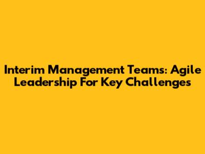 Interim Management Teams: Agile Leadership For Key Challenges