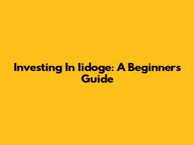 Investing In Iidoge: A Beginner's Guide