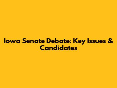 Iowa Senate Debate: Key Issues & Candidates