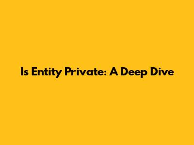 Is Entity Private: A Deep Dive