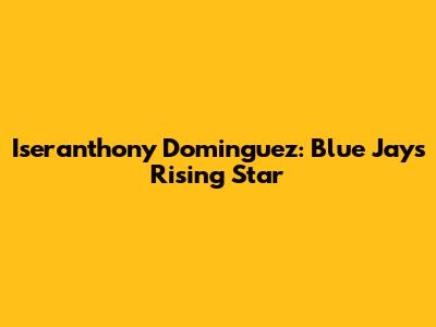 Iseranthony Dominguez: Blue Jays' Rising Star