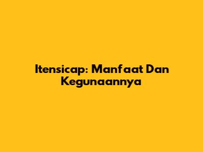 Itensicap: Manfaat Dan Kegunaannya