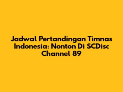 Jadwal Pertandingan Timnas Indonesia: Nonton Di SCDisc Channel 89