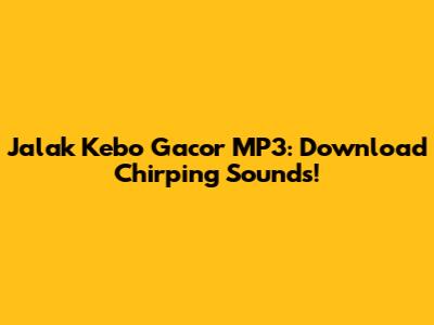 Jalak Kebo Gacor MP3: Download Chirping Sounds!