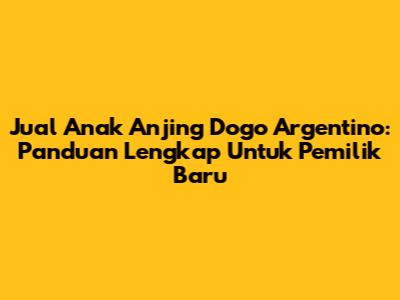 Jual Anak Anjing Dogo Argentino: Panduan Lengkap Untuk Pemilik Baru