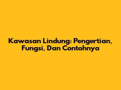 Kawasan Lindung: Pengertian, Fungsi, Dan Contohnya