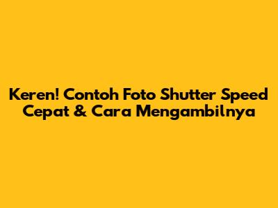 Keren! Contoh Foto Shutter Speed Cepat & Cara Mengambilnya