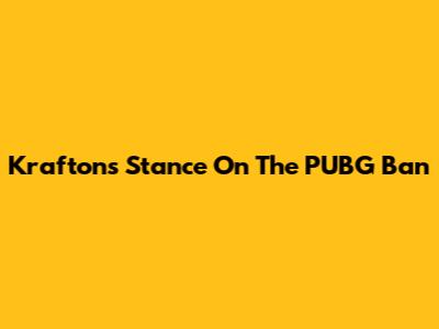 Krafton's Stance On The PUBG Ban