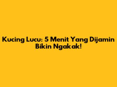 Kucing Lucu: 5 Menit Yang Dijamin Bikin Ngakak!