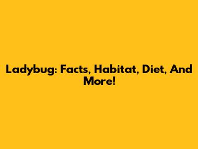 Ladybug: Facts, Habitat, Diet, And More!