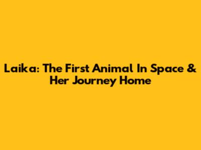 Laika: The First Animal In Space & Her Journey Home