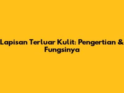 Lapisan Terluar Kulit: Pengertian & Fungsinya