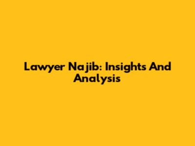 Lawyer Najib: Insights And Analysis