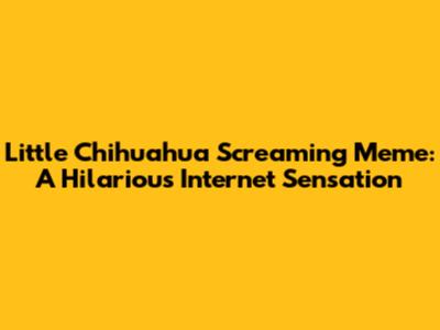 Little Chihuahua Screaming Meme: A Hilarious Internet Sensation