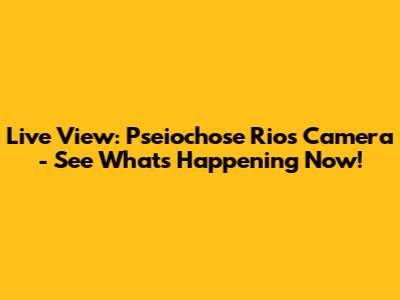 Live View: Pseiochose Rios Camera - See What's Happening Now!