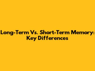 Long-Term Vs. Short-Term Memory: Key Differences