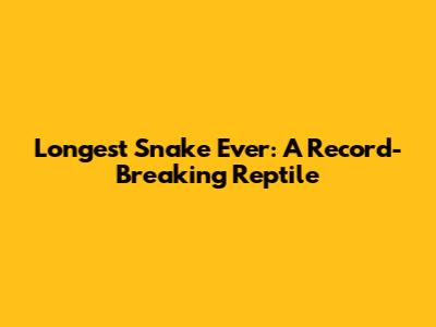 Longest Snake Ever: A Record-Breaking Reptile