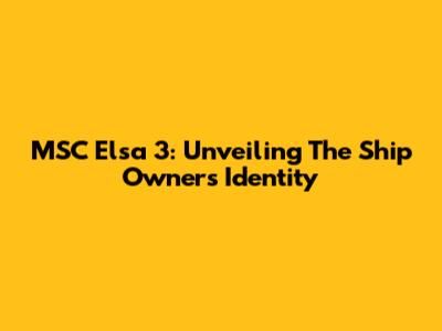 MSC Elsa 3: Unveiling The Ship Owner's Identity