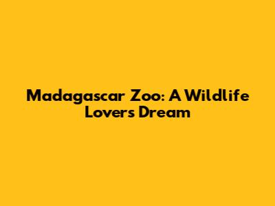 Madagascar Zoo: A Wildlife Lover's Dream