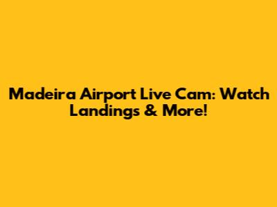 Madeira Airport Live Cam: Watch Landings & More!