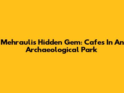 Mehrauli's Hidden Gem: Cafes In An Archaeological Park