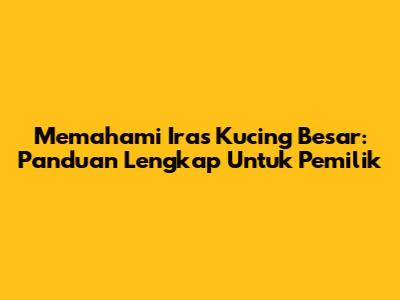 Memahami Iras Kucing Besar: Panduan Lengkap Untuk Pemilik