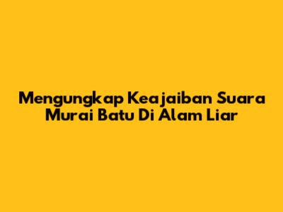 Mengungkap Keajaiban Suara Murai Batu Di Alam Liar